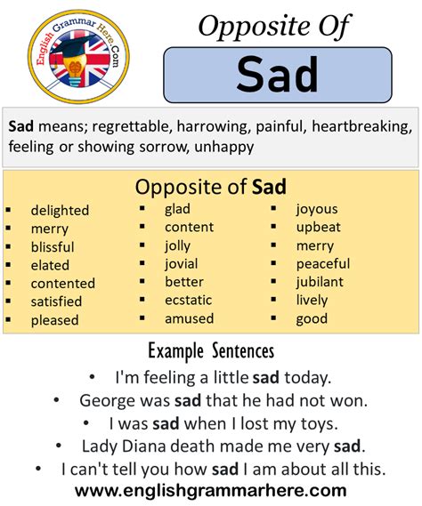 sad antonym|opposite of sadness.